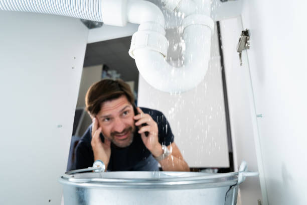 Best Sprinkler Systems  in Port Republic, NJ